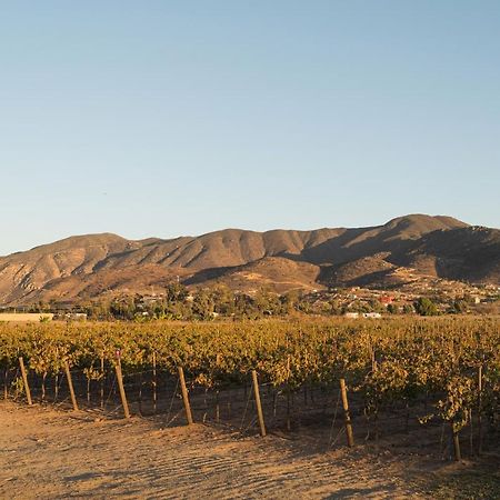 Casa Entrevez Bed & Breakfast Valle de Guadalupe Luaran gambar